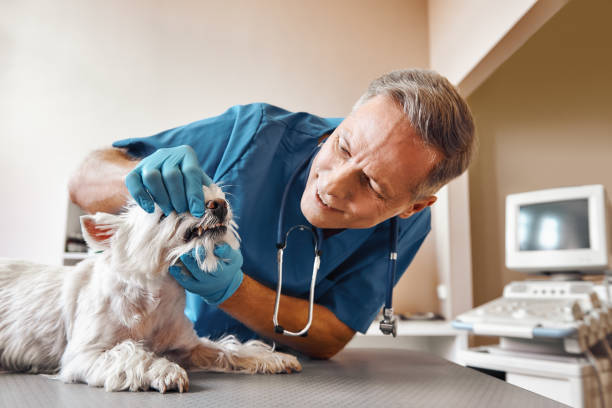 , MS Emergency Dental Service Company