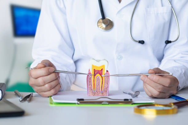 Best After-Hours Dental Care in Vardaman, MS